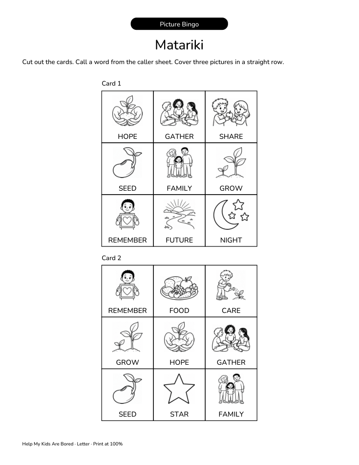 Matariki Vocabulary Bingo | Free Printable