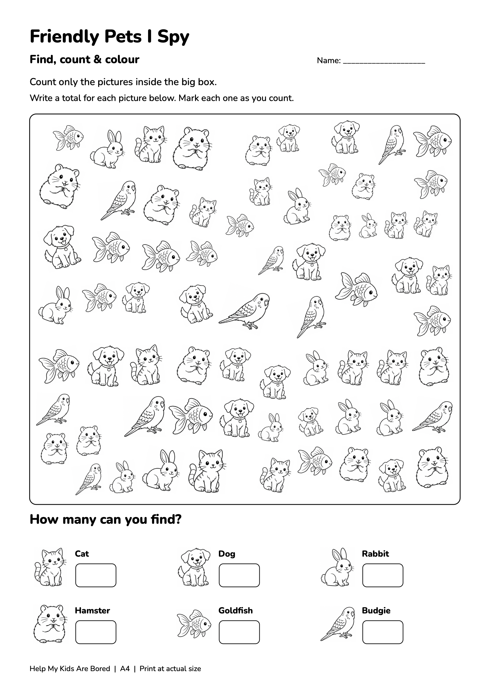 Friendly Pets I Spy — Count & Colour