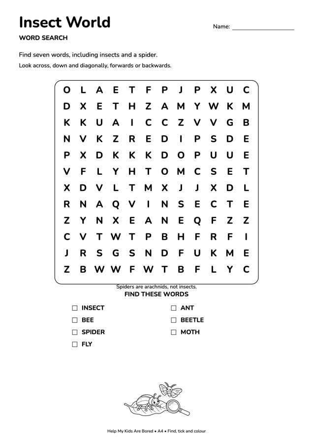 Insect World Word Search