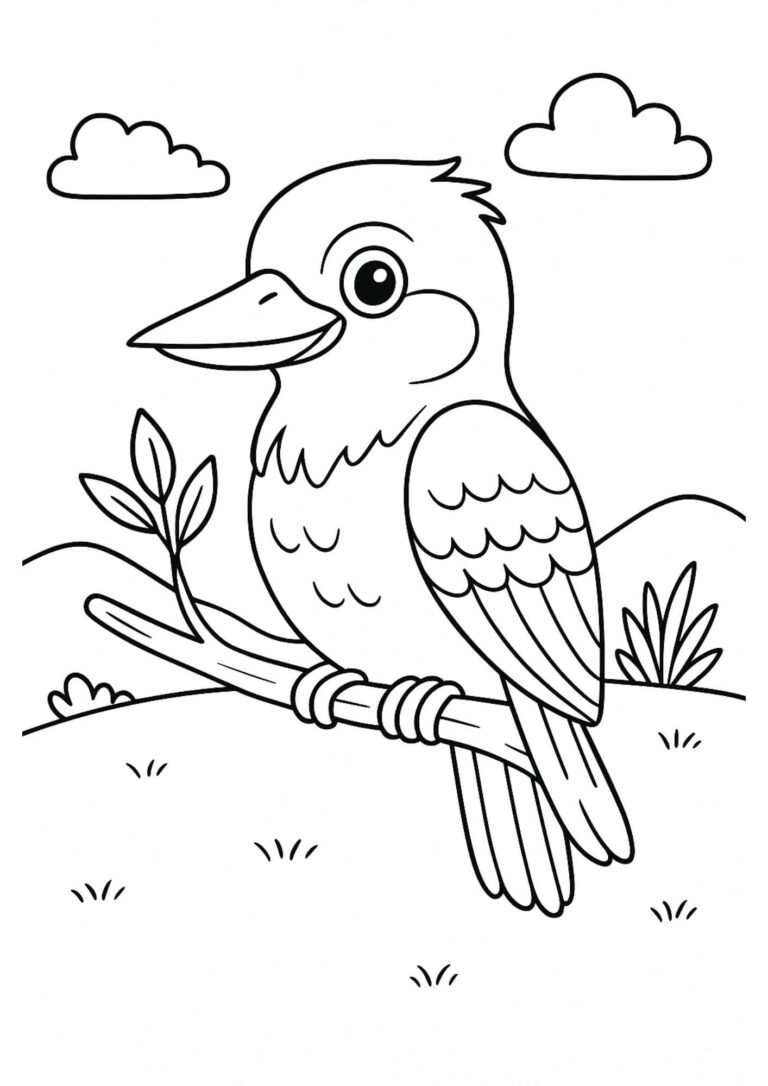 Free Kookaburra Coloring Page – Laughing Aussie Bird Fun for Kids!