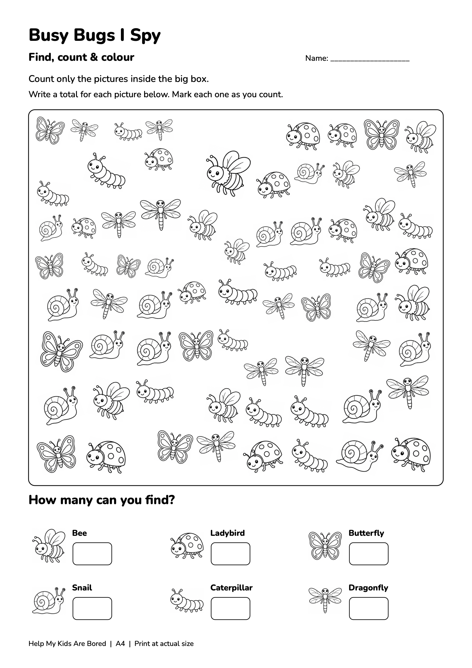 Busy Bugs I Spy — Count & Colour