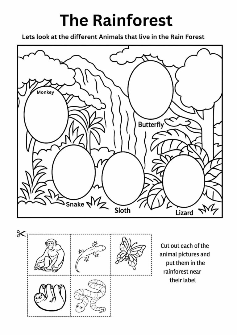 The Rainforest – Cut and Paste Animal Activity Worksheet for Kids