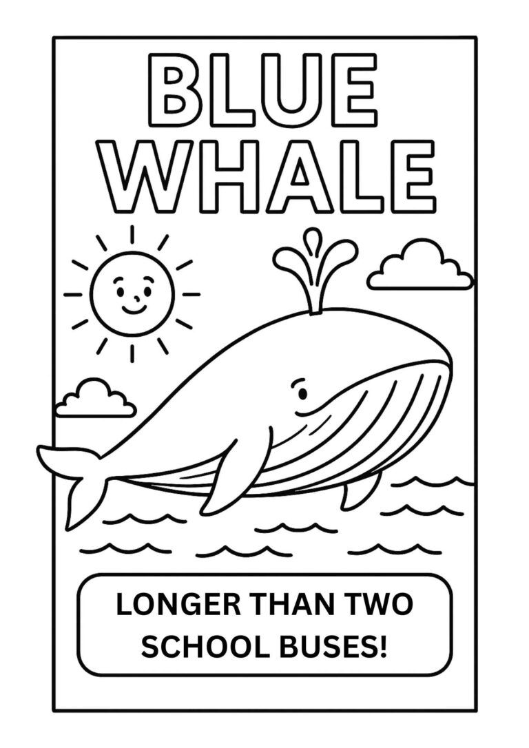 Meet the Rorquals! Fun Whale Facts and Free Coloring Pages for Kids