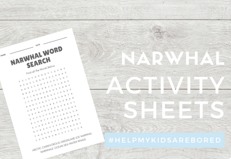 Narwhal Printable Kids activity sheets for Middle School Kids