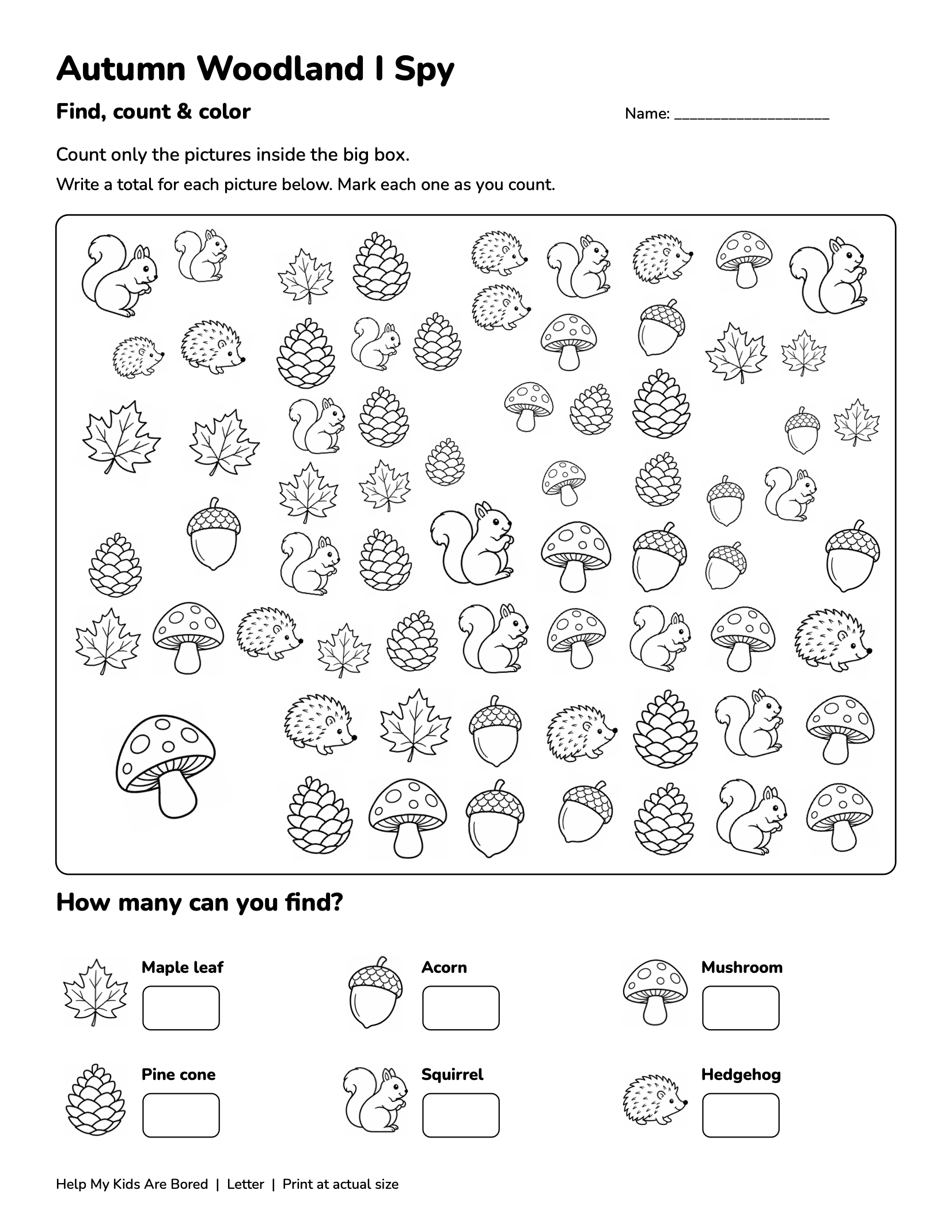 Autumn Woodland I Spy — Free Counting Printable